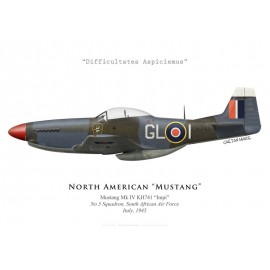 Mustang Mk IV "Impi", No 5 Squadron SAAF, Italy, 1945