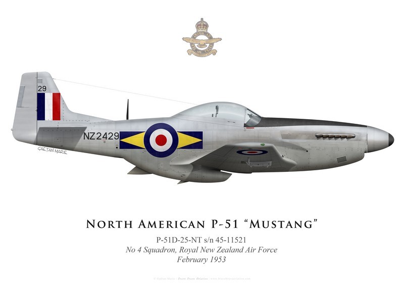 P 51d Mustang Nz2429 No 4 Squadron Royal New Zealand Air Force Bravo Bravo Aviation