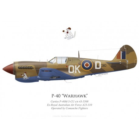 P-40C Warhawk N80FR, The Fighter Collection, Duxford, United Kingdom -  Bravo Bravo Aviation