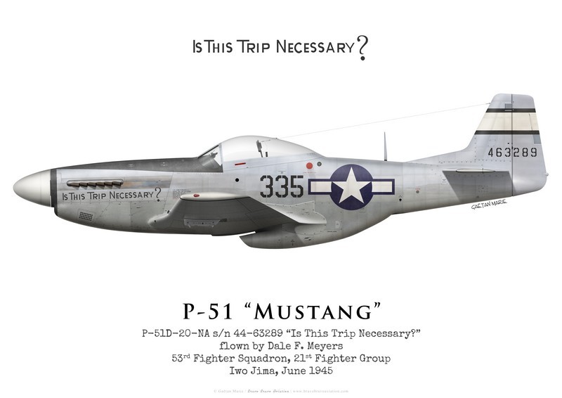 kwartaal forum golf P-51D Mustang "Is This Trip Necessary?", 53rd Fighter Squadron, 21st  Fighter Group, 1945 - Bravo Bravo Aviation