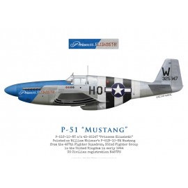 P-51D Mustang, Lt Joe Peterburs, 55th Fighter Squadron, 20th
