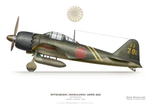 Mitsubishi (Nakajima) A6M5 52C Zero, 203 Kokutai, Tsuiki, August 